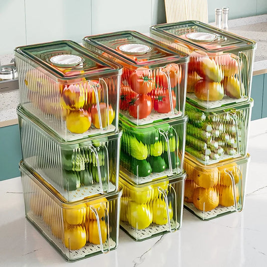 Kitchen Fruit and Vegetable Organizer With Handle Easy to Reach Box Multifunctional Antistringing Refrigerator Fresh Storage Box